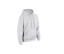 HEAVY BLEND ADULT HOODED SWEATSHIRT
